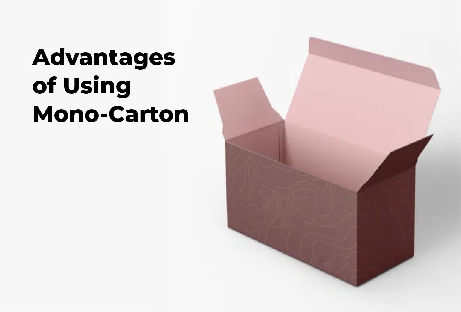 Mono Carton Box Manufacturer in Lagos